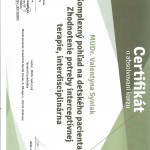 Fotografia ambulancie