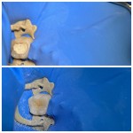 Fotografia ambulancie