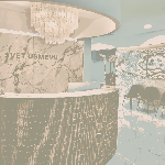 Fotografia ambulancie