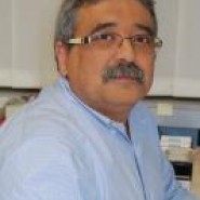 Obrázok : Doc. MUDr. Frederico Goncalves, PhD. - Tomášikova